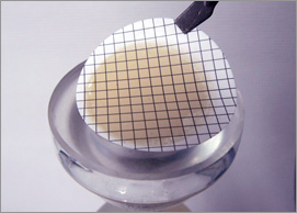 MEMBRANAS FILTRANTES
